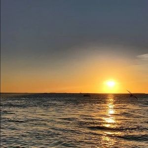 Meet your Posher, Mirna